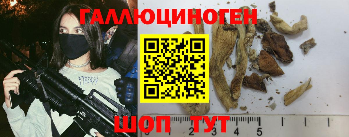 Псилоцибиновые грибы Cubensis Карабулак